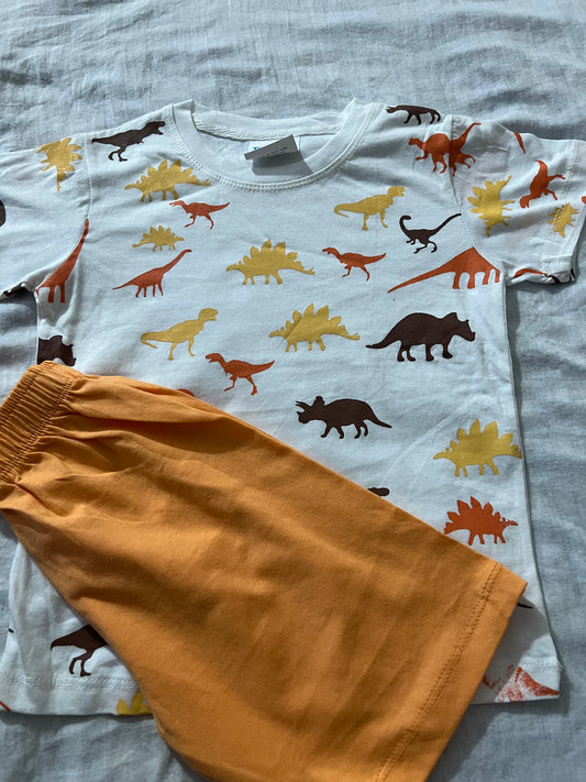 Jungle safari t-shirt & niker for baby boys